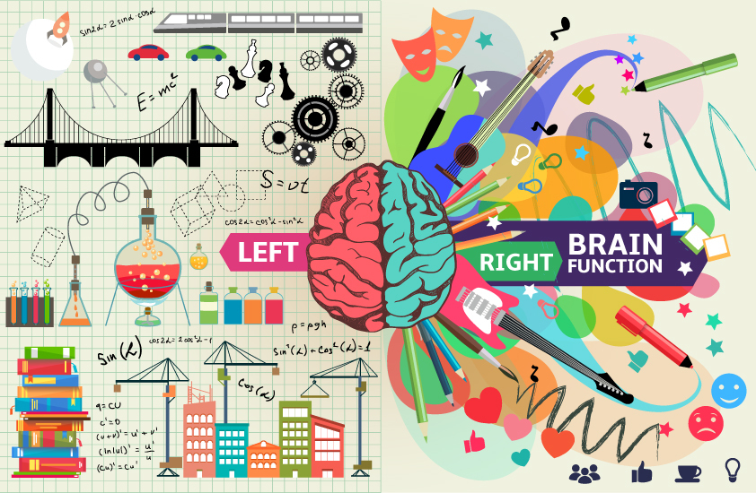 The left side of the brain is more analytical, while the right side is more intuitive and non-linear